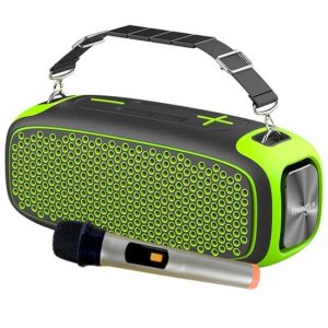 WIWU P16 MAX Wireless Speaker 55W With wireless microphone - BlackGreen