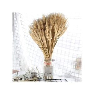 Dried Wheat Ears. 50 Sticks Of Natural Colour (beige)